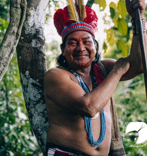 Yawanana Pajé Peka Rasu Hapé